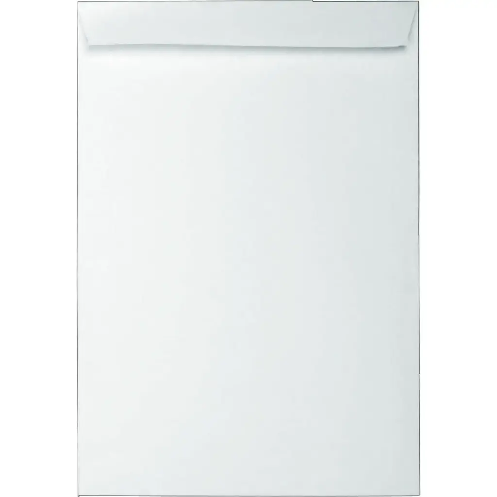 RQ-29532 Roco White Envelope 25pcs Pack 10*12''